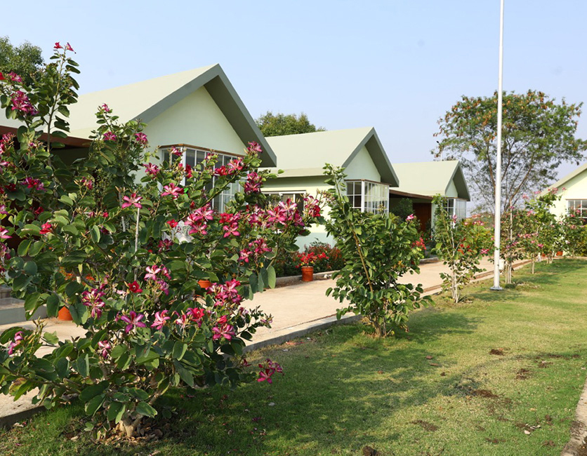 The Life School Bhopal