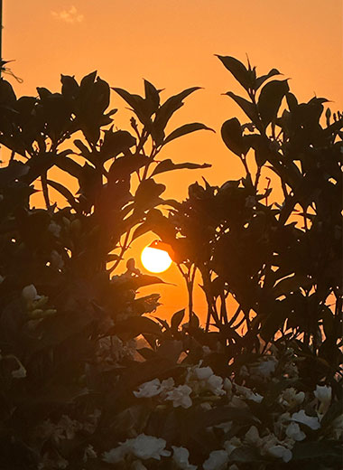 The Life School Bhopal